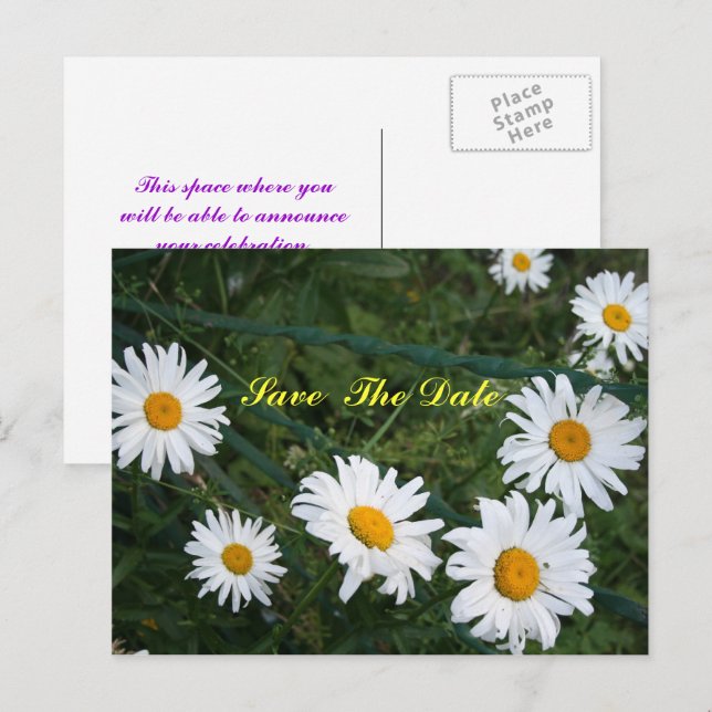 Circle of Daisies Save the Date Postcard Ankündigungspostkarte (Vorne/Hinten)