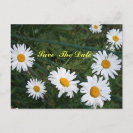 Circle of Daisies Save the Date Postcard Ankündigungspostkarte