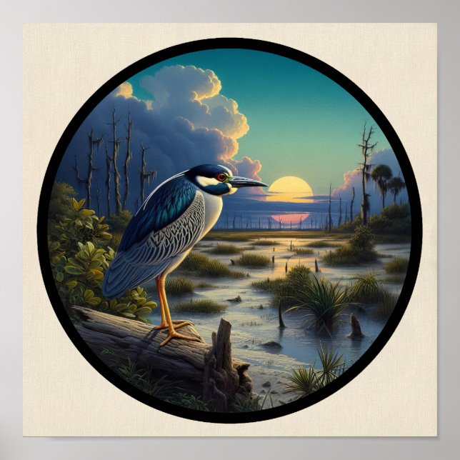 Circular 3D-Bild eines gelb gekrönten Nachtherons Poster (Vorne)