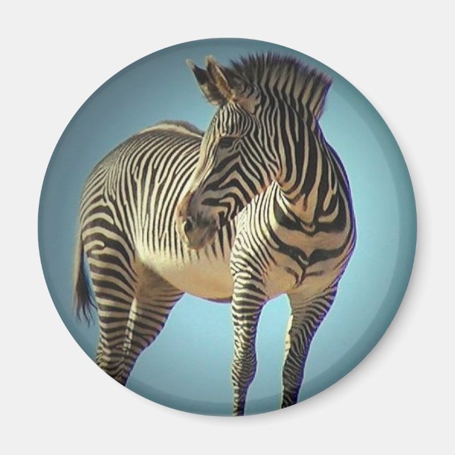 Circular Zebra Magnet (Vorne)