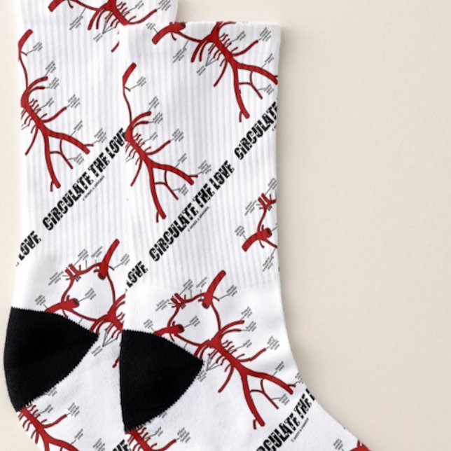 Circuler Le Cercle D'Amour De Willis Conseils Anat (Pair of medical humor socks featuring Circle of Willis and the caption "Circulate The Love")
