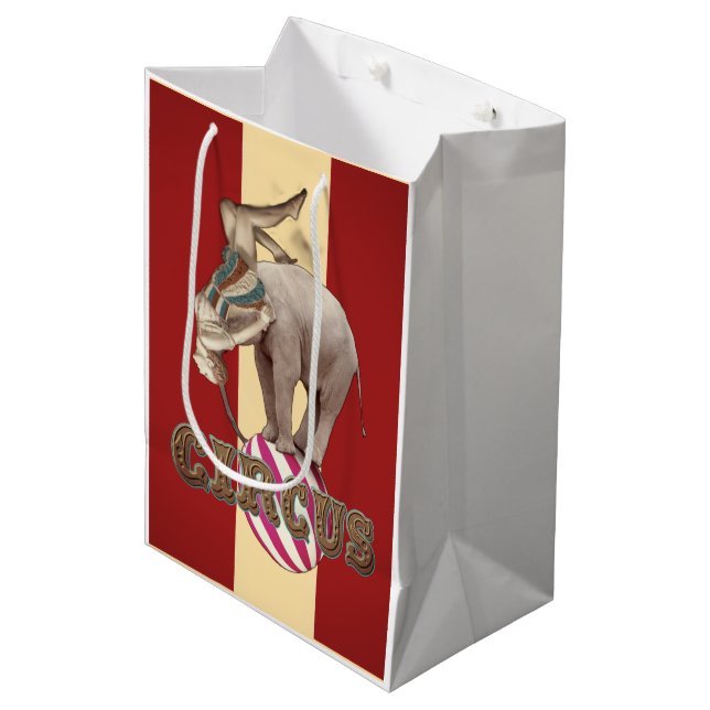 Circus Carnival  Mittlere Geschenktüte (Vorderseite Schrägansicht)