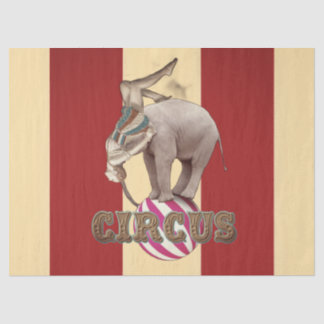 Circus Carnival  Seidenpapier