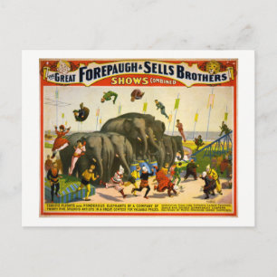 Circus Elephants, 1899 Vintag Postkarte