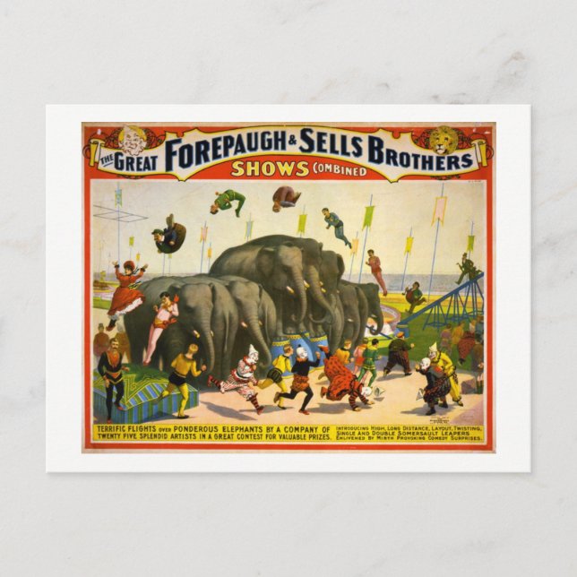 Circus Elephants, 1899 Vintag Postkarte (Vorderseite)