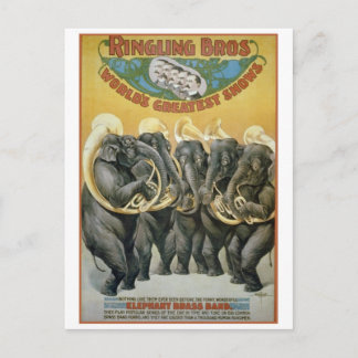 Circus Elephants Brass Band Postkarte