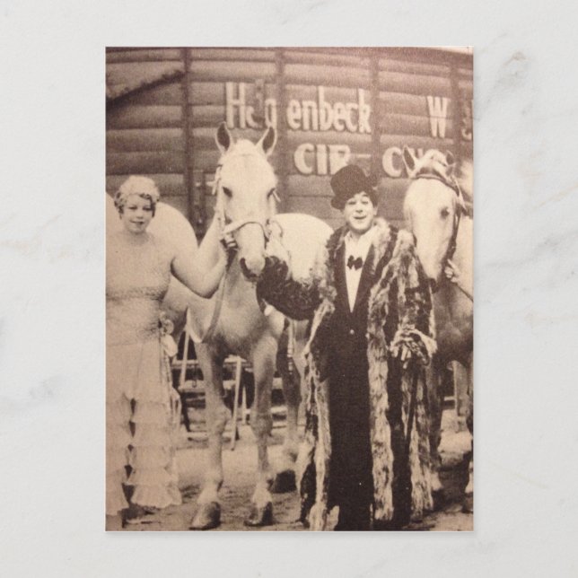 Circus Performances und White Horses Postkarte (Vorderseite)