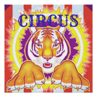 Circus Tiger 20x20 Poster