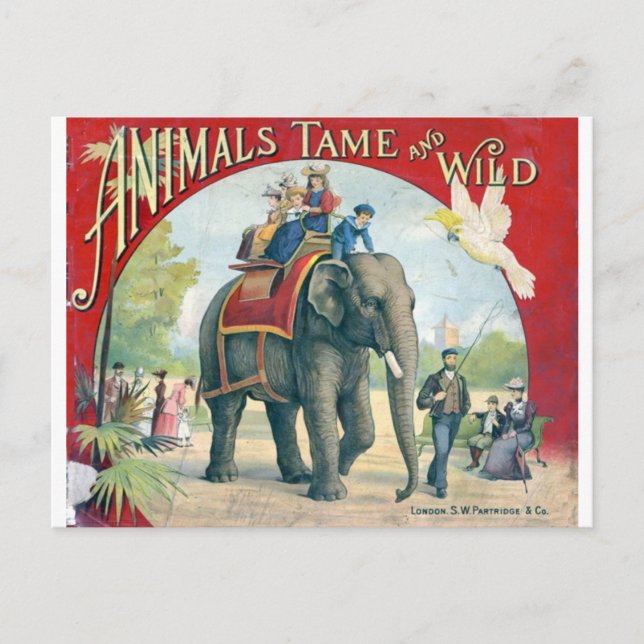 Circus Vintag Design Post Card Postkarte (Vorderseite)
