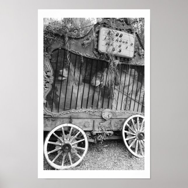 Circus Wagon Poster (Vorne)