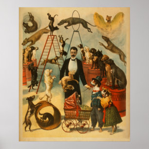Cirque canin ! - Affiche #2 de théâtre