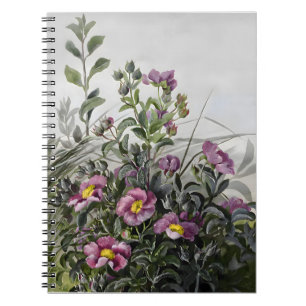 Cistus Floral Zeichnend, Geschenk Valentine Notizblock