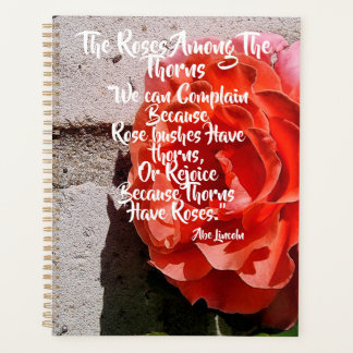 Citation de roses parmi les Thorns Abe Lincoln