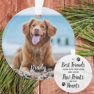Citation du souvenir du marbre Chien Photo Animal