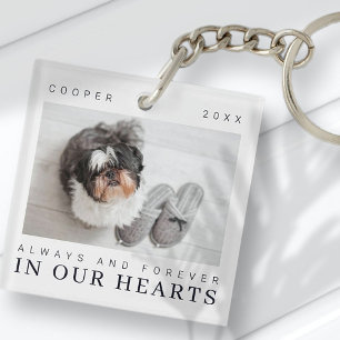 Citation Pet Memorial Simple Modern Chic Photo