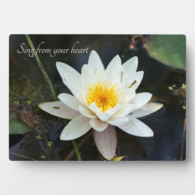 Citations Inspiration Plaque de table avec Easel (Devant)