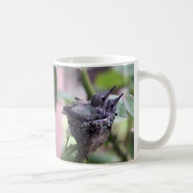 Cite Hummingbirds Foto