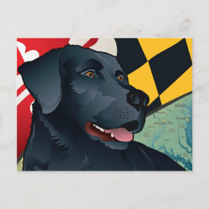 Citizen Black Lab Postkarte