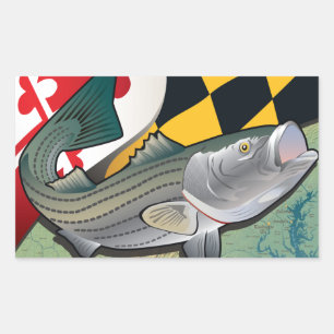 Citizen Rockfish von Maryland Rechteckiger Aufkleber