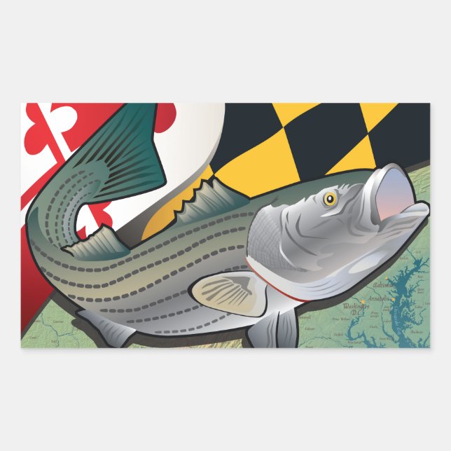 Citizen Rockfish von Maryland Rechteckiger Aufkleber (Vorderseite)