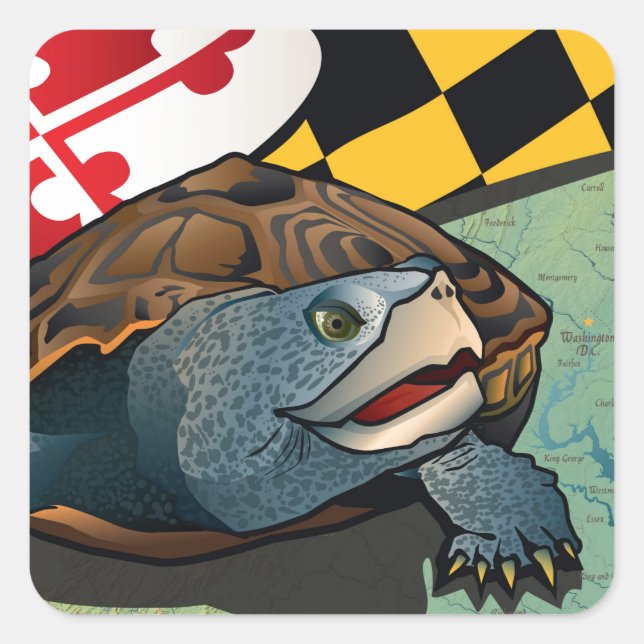 Citizen Terrapin, Maryland-Schildkröte Quadratischer Aufkleber (Vorderseite)