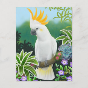 Citron Cockatoo Postcard Postkarte