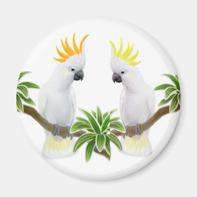 Citron & Sulfur Cockatoo Magnet (Vorne)