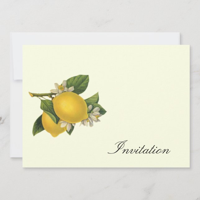Citrons - Invitations Vintages (Devant)