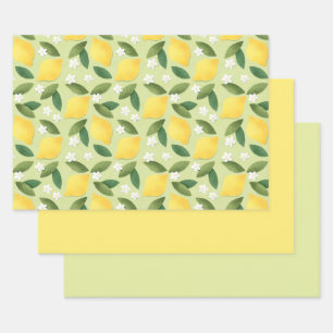 Citrons jaunes, Feuilles verts et fleurs blanches
