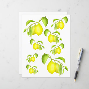 Citrons sur une branche 2 Papier à scandale