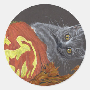 Citrouille de chat Peekaboo autocollant automne