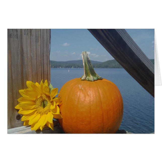Citrouille et tournesol au lac (Devant horizontal)