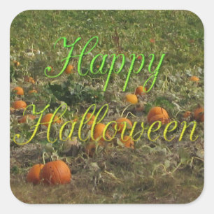 Citrouille Patch Automne Automne Halloween Sticker