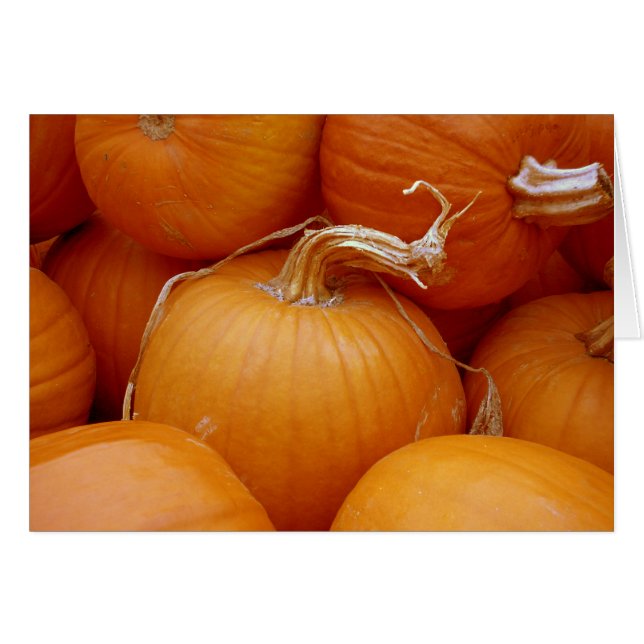 Citrouilles (Devant horizontal)