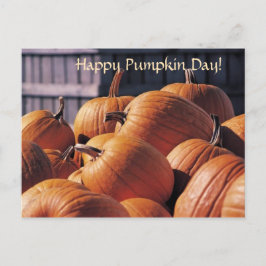 Citrouilles dans un bac - Carte postale d'Hallowee