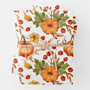Citrouilles d'automne, Berries rouges et Feuilles