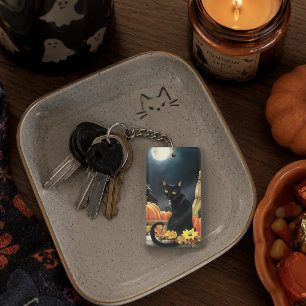 Citrouilles de Chat Noir Envoûtantes au Clair de L
