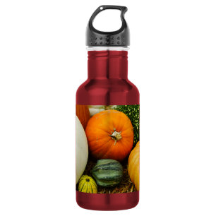Citrouilles Et Gourdes Bouteille D'Eau En Acier In