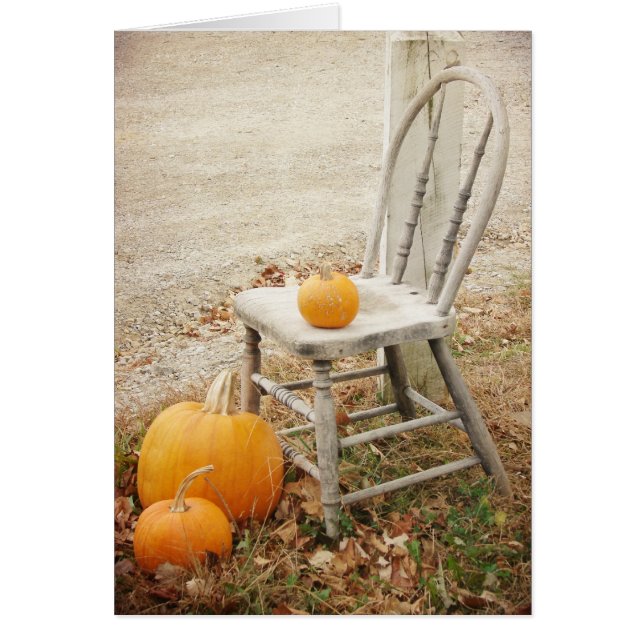 Citrouilles et président, Thanksgiving (Devant)