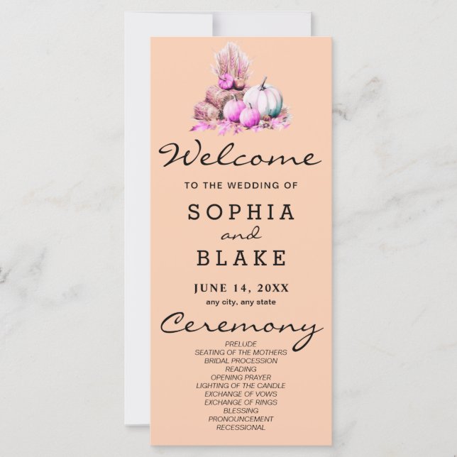 Citrouilles rose et blanc Automne Orange Programme (Devant)