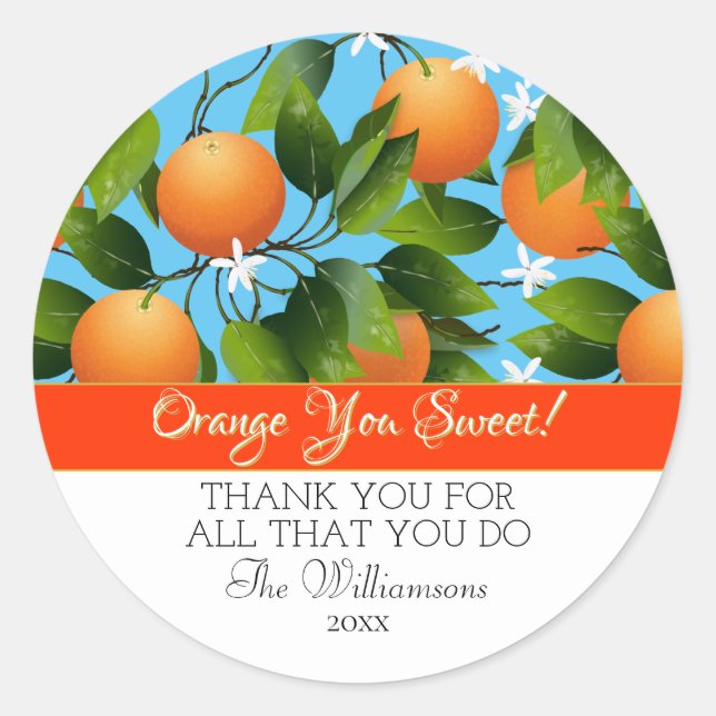 Citrus Frucht Canning Thank You | Runder Aufkleber (Vorderseite)