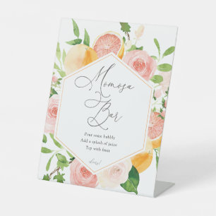 Citrus Fruit Momosa Bar Sign Sockelschild