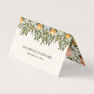Citrus orange botanique moderne rustique carte pla