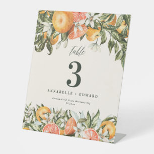 Citrus orange botanische moderne rustikale Tischnu Sockelschild