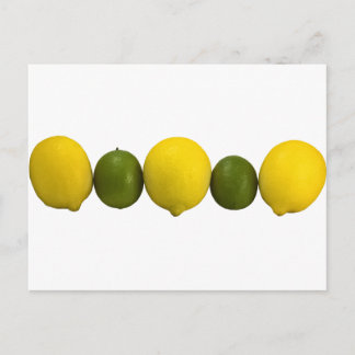 Citrus Postcard Postkarte