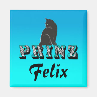 Citty Prinz schwarzer Kater Katze Magnet