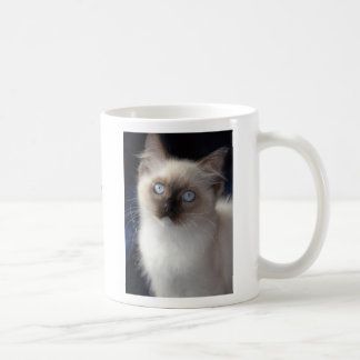 cla1, RW SGCAWillowtreerags'Irish Fancyaka Clancy Kaffeetasse