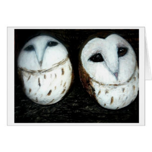 clachnaharry Steinbabyeulen