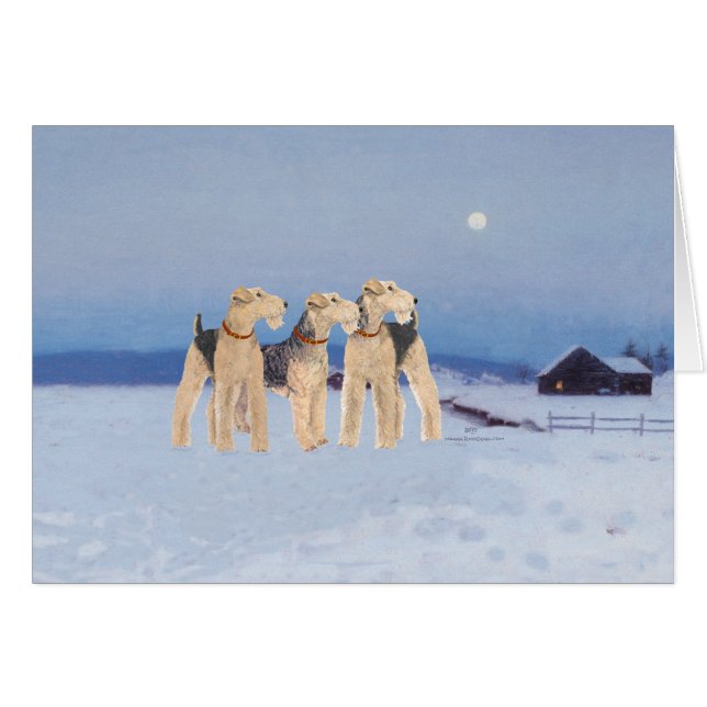 Clair de lune d'hiver (Devant horizontal)
