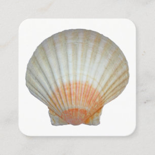 Clam Muschel Quadratische Visitenkarte